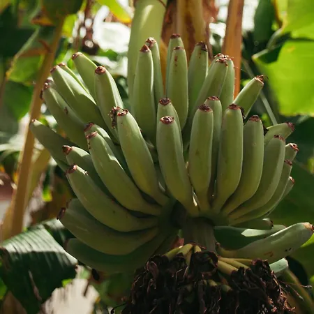 Hostel Destination Ericeira